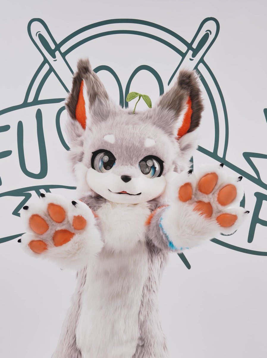 mofumofufursuitstudio tweet media