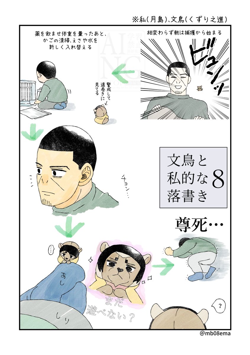 毎朝こうなってる🐥