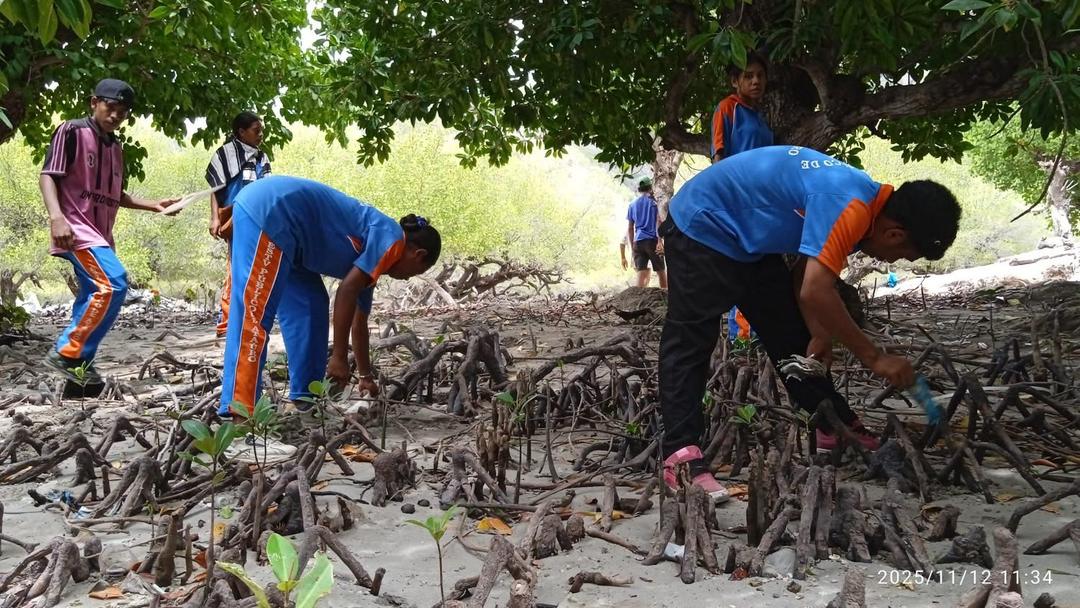 TimorMBO's tweet photo. Ataúro Island’s communities are taking concrete actions to reduce plastic waste and protect the ocean and marine life that sustain them. Communities collected >400 kg of plastic and sent it to the Caltech Group in #Dili for recycling into products, including pavers and furniture. https://t.co/BY6QUpeIVq