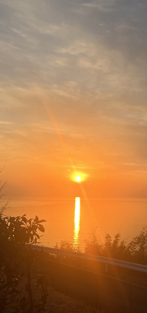 ｲﾛｻﾌﾞ (@irodayo_) on Twitter photo 