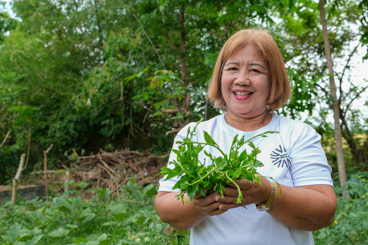 #PhotoOfTheWeek: Rebecca, a member of a smallholder farmers’ cooperative in Cauayan, Isabela, harvests green leafy vegetables at their community farm. These veggies will then reach schools—turning harvests into fresh nutritious school meals for children! 🥬🍽️