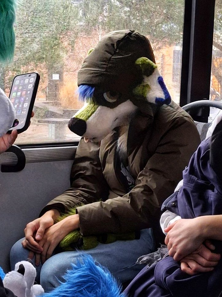 Wufuzz ➡️ ThaiTails 🇹🇭 tweet media