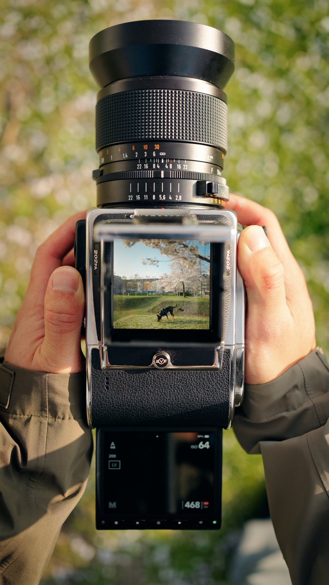 202FAがどうにもなくて503CWに付けてるけどそれでも結果面白い。本当に