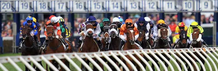Racing at both Caulfield and Randwick begins very shortly. We have you covered with free tips for both cards!

Free Saturday Horse Racing Tips: beforeyoubet.com.au/horse-racing-t…