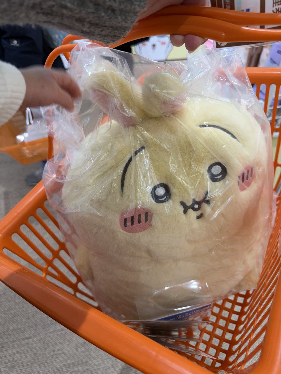 かごにさぁ…入ってきたでぶ