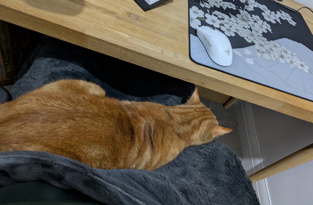 AzzaBennett tweet media