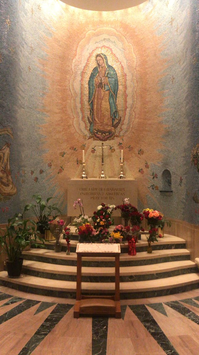 Our Lady of Guadalupe,
Mother of Mercy and love,
wrap me in your sacred mantle. Guide me, protect me and bring peace to my heart. I trust in your care and your motherly grace.
Amen