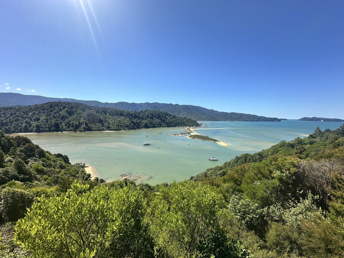 Paul Modley tweet media