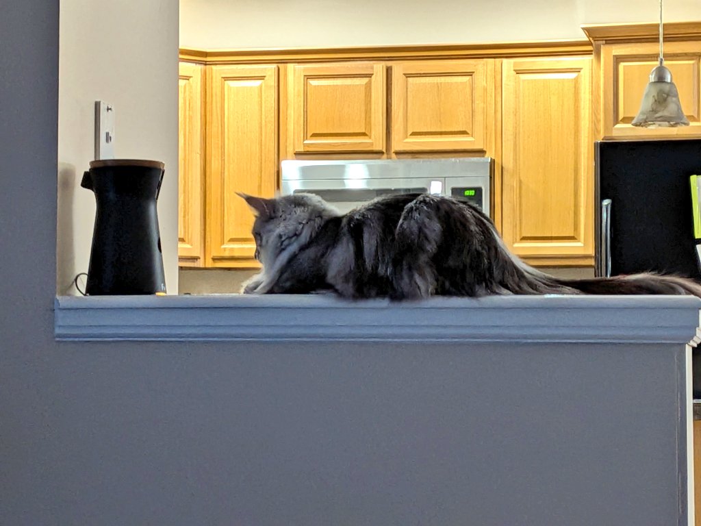 ⏳Attera Nox⌛ (Dracolich VTuber) tweet media