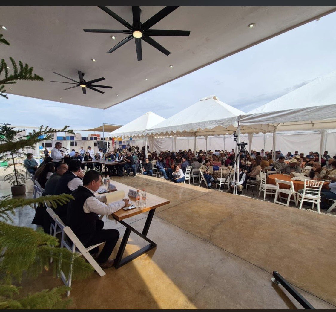 Rodolfo Castro V tweet media