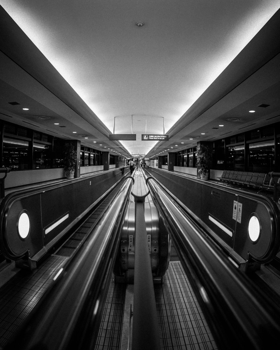 左に立て、永遠に Stand on the Left, Forever #壊れた世界を優しく