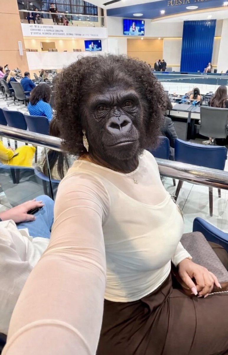 <a href="/AbigailGuerraSV/">Abigail Guerra | Politica Sin Filtro</a> Aqui recibiendo mi pago en la asamblea prostitutiva de El Salvador 🤣🤣🤣