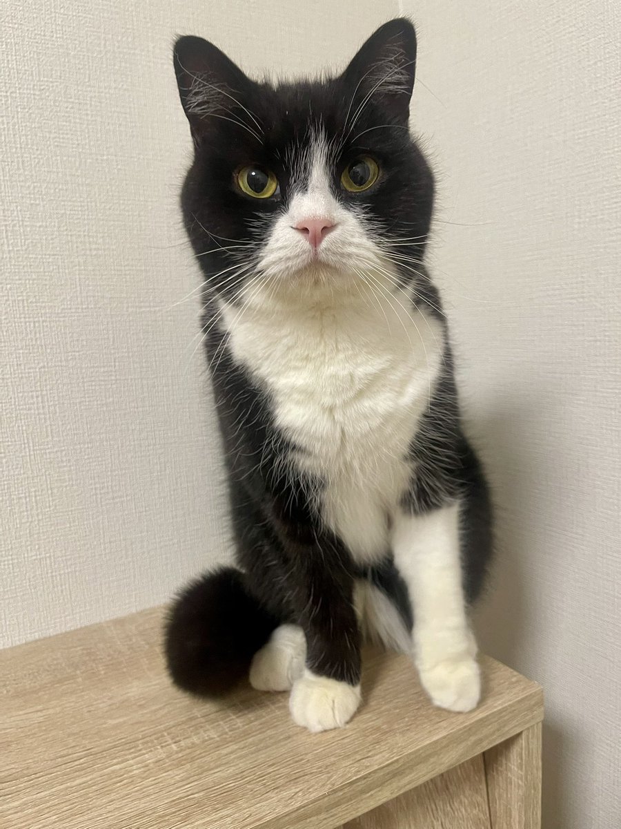 たろう (@taro20216) / Posts / X