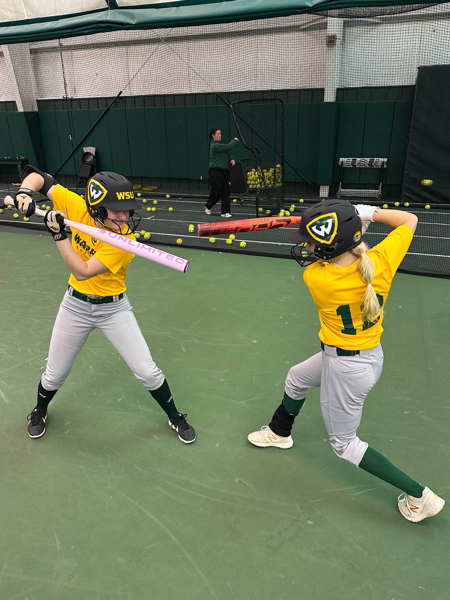 Wayne State Softball tweet media