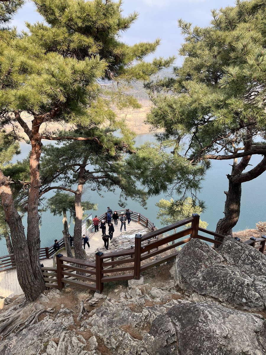 Colin Crooks | 콜린 크룩스 tweet media