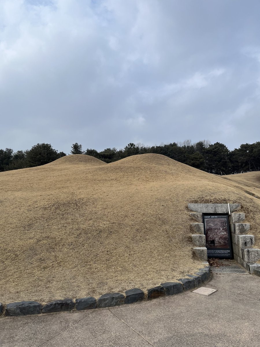 Colin Crooks | 콜린 크룩스 tweet media