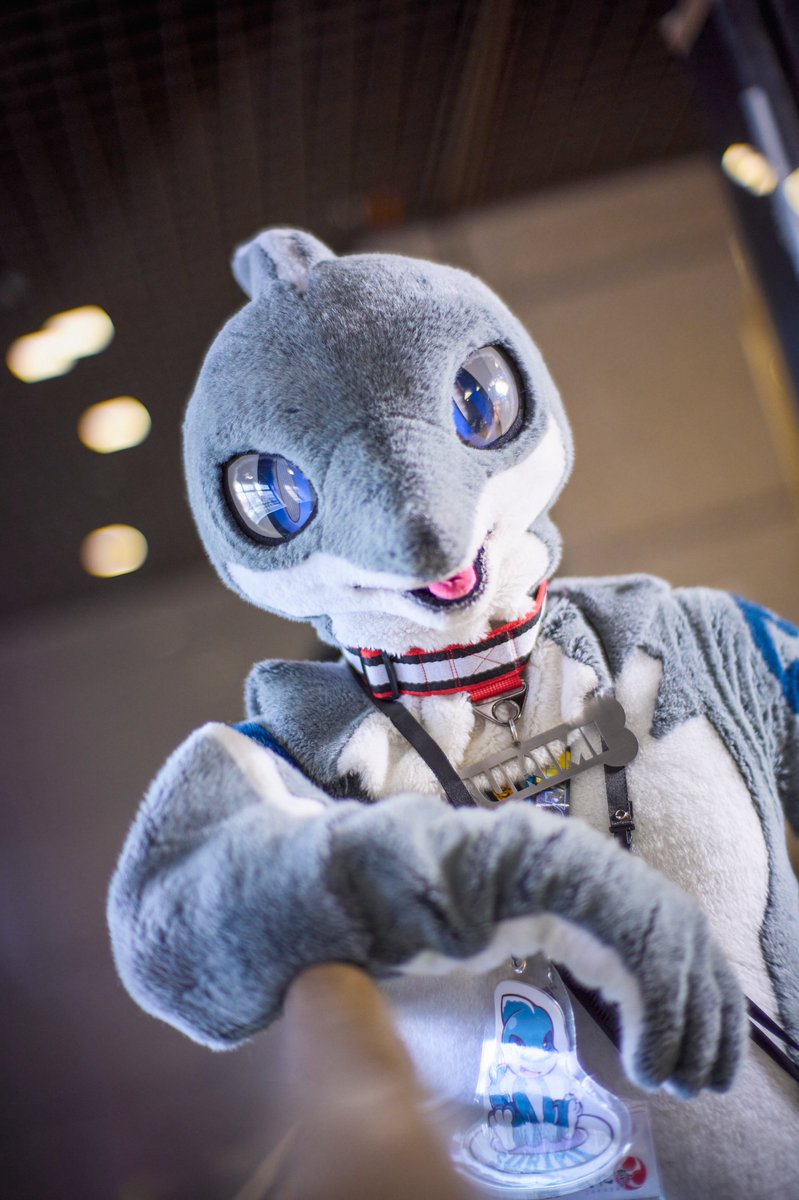 Hmm? Did someone call me?🤔

📸 <a href="/guni1636/">그니 GUNI</a> 

#獣化祭 

#スリスリすりみちゃん 
#Furticstudio
#FursuitFriday #FursuitsFriday 
#FursuitEveryday #FursuitsEveryday #Furry #Fursuit #Fursuits