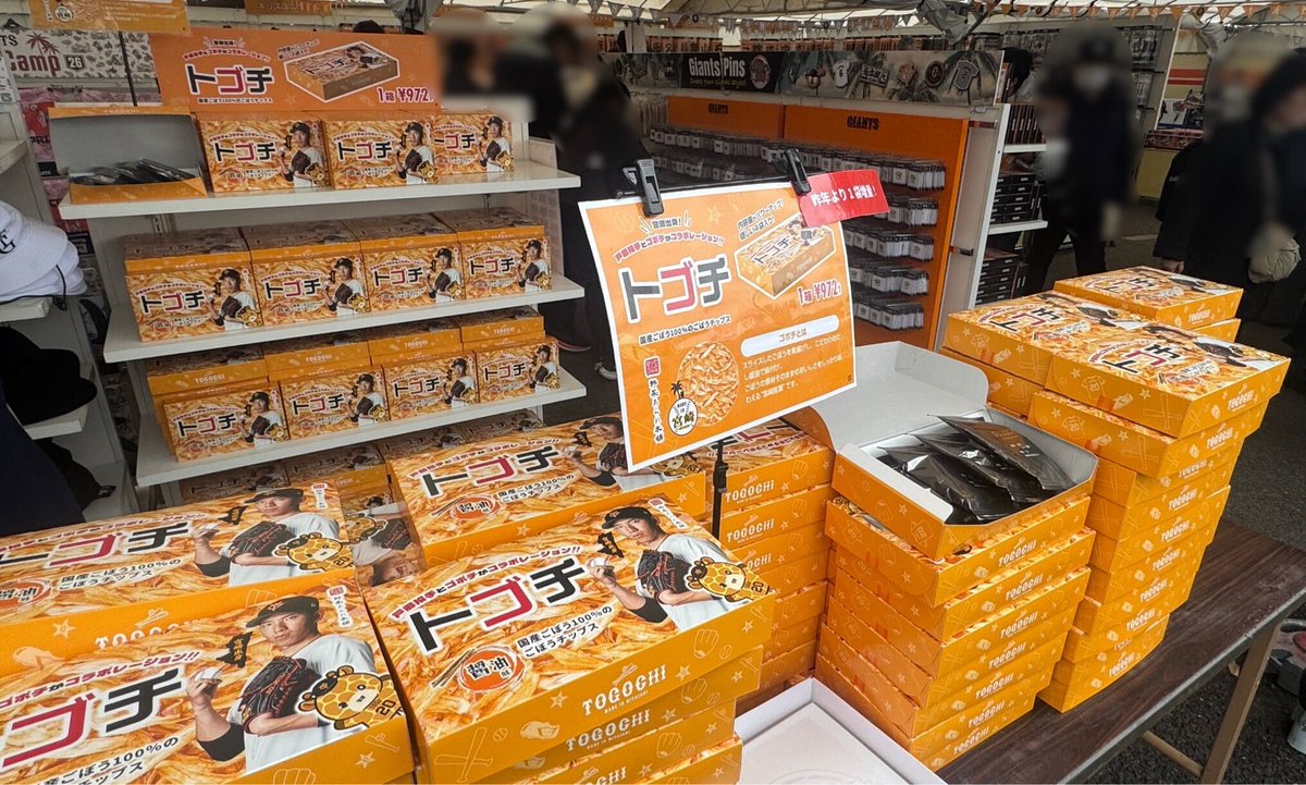 宮崎キャンプグッズ🌴 「トゴチ GIANTS BOX」好評販売中✨ ＼ ゴボチの