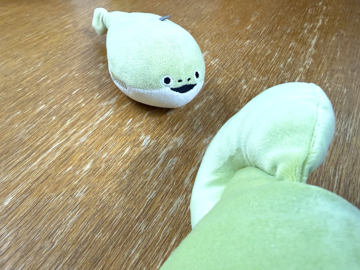 研究本部、本日大変な事になっております🫢💦
落ち着きましたら改めてご報告いたします🫡
#虚無魚バスピ