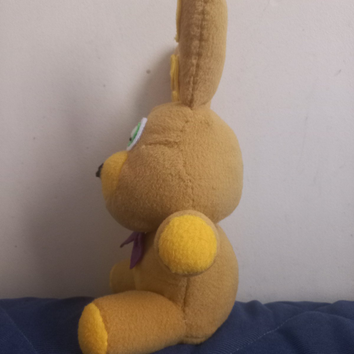 N Peluche tweet media