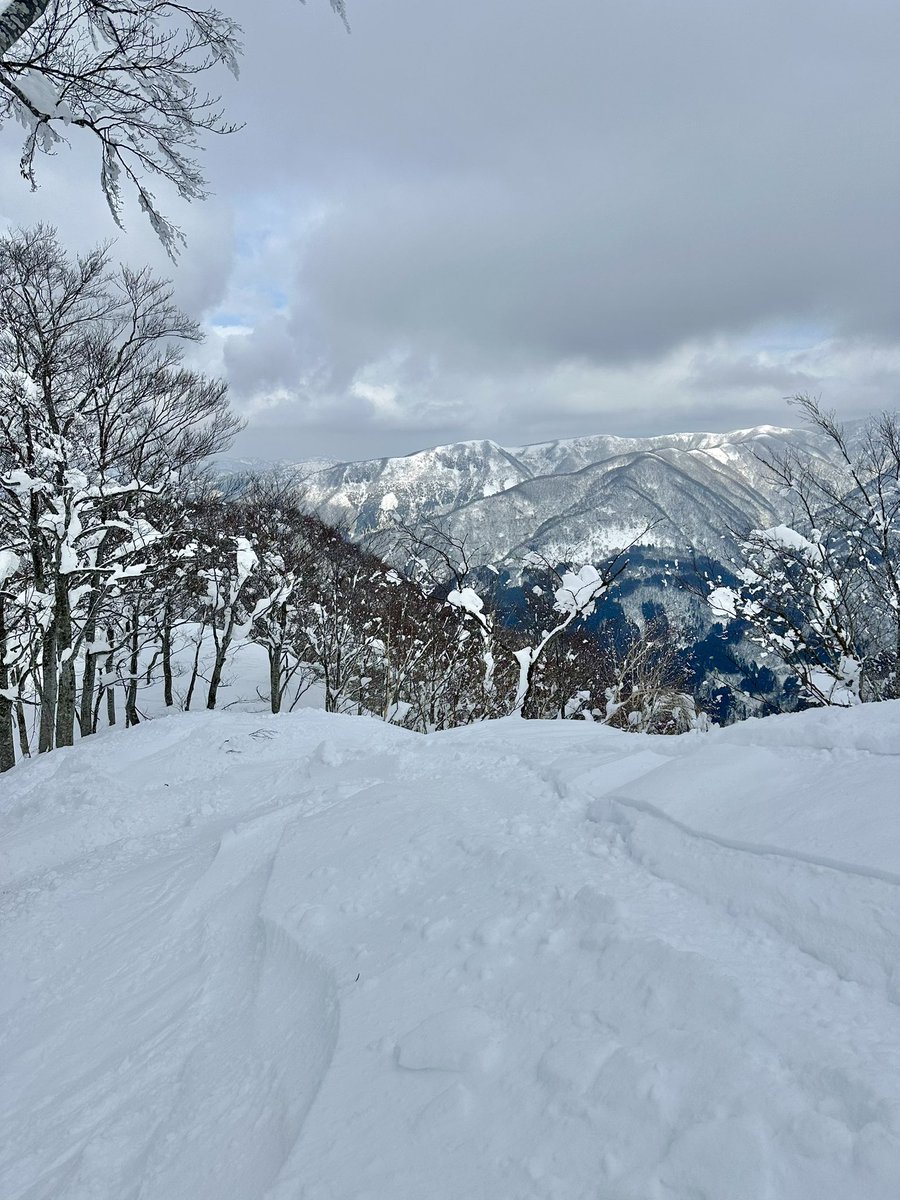 RiepyonWorld's tweet photo. 昨日ベースは気温高かったけど、山頂はもちろんマイナスで、脇パウ残ってたし大満足！ただ肩をやっちまったんだな。夜もズキズキしてたし、上がらない😇 https://t.co/PdXsIqXMk4