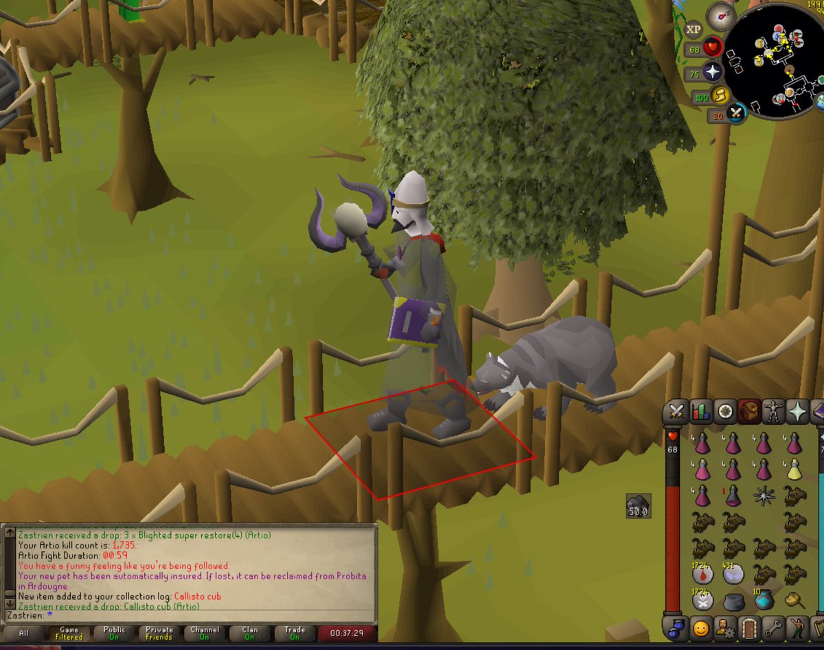 Zastrien (Raids 4 Pures) tweet media