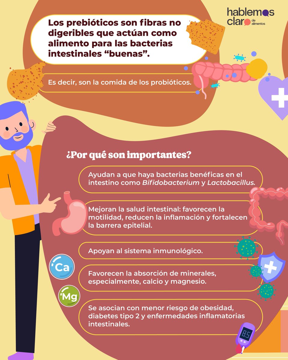 HablemosClaroMx's tweet image. Los prebióticos son fibras no digeribles que actúan como alimento para las bacterias intestinales "buenas". Es decir, son el alimento de los probióticos. buff.ly/komwSOp #Probioticos #Prebioticos #SaludIntestinal