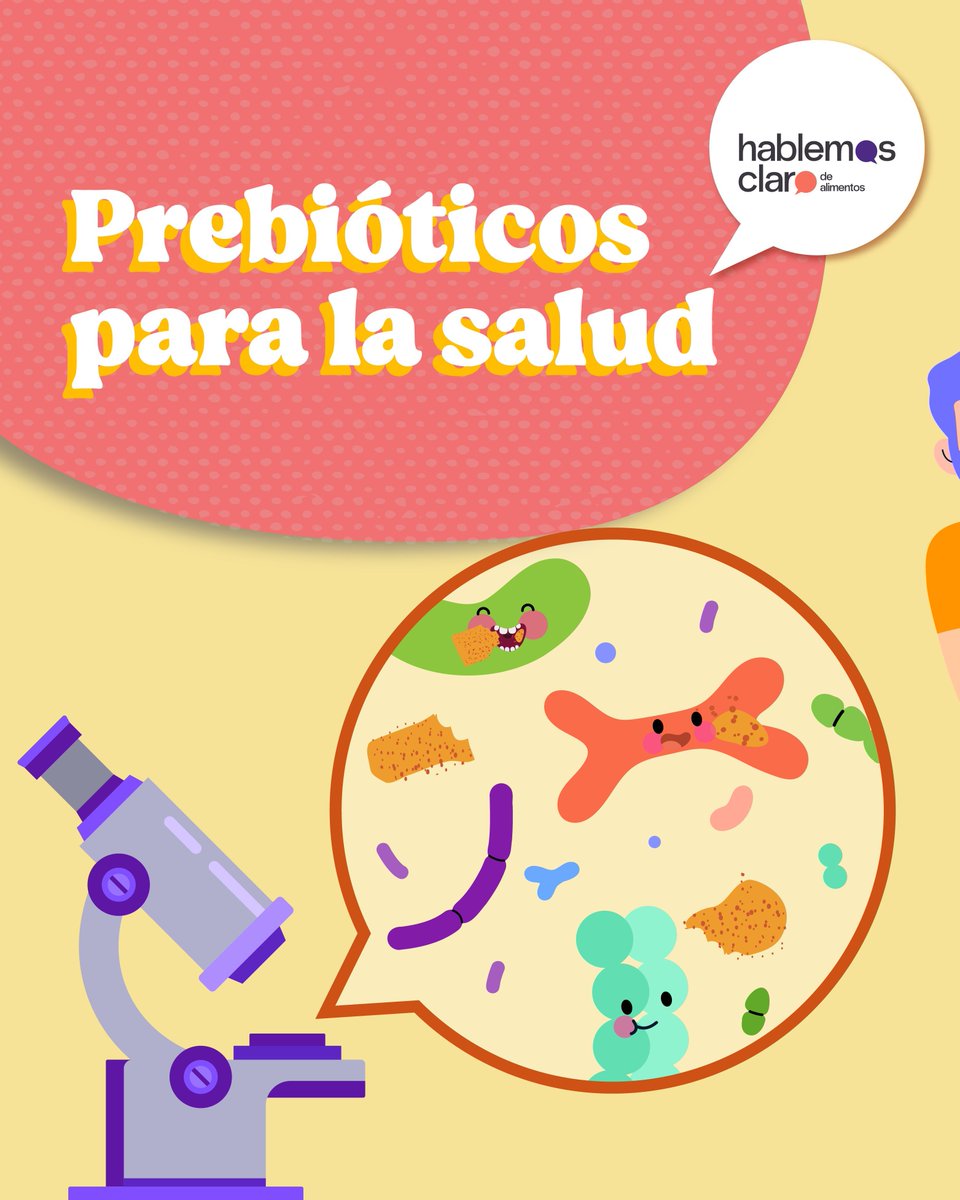 HablemosClaroMx's tweet image. Los prebióticos son fibras no digeribles que actúan como alimento para las bacterias intestinales "buenas". Es decir, son el alimento de los probióticos. buff.ly/komwSOp #Probioticos #Prebioticos #SaludIntestinal