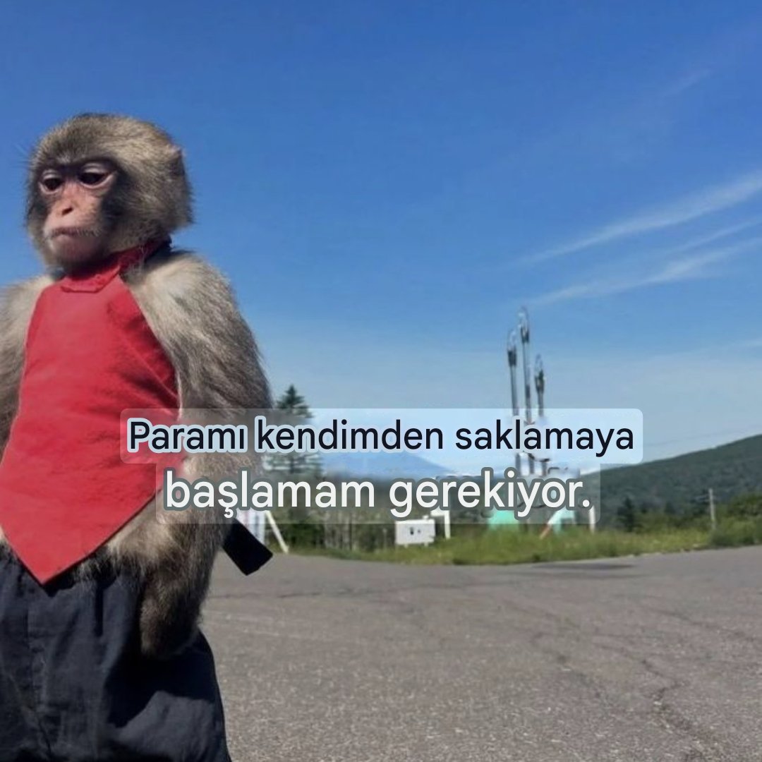 ANLIK (@anlikmod) on Twitter photo 