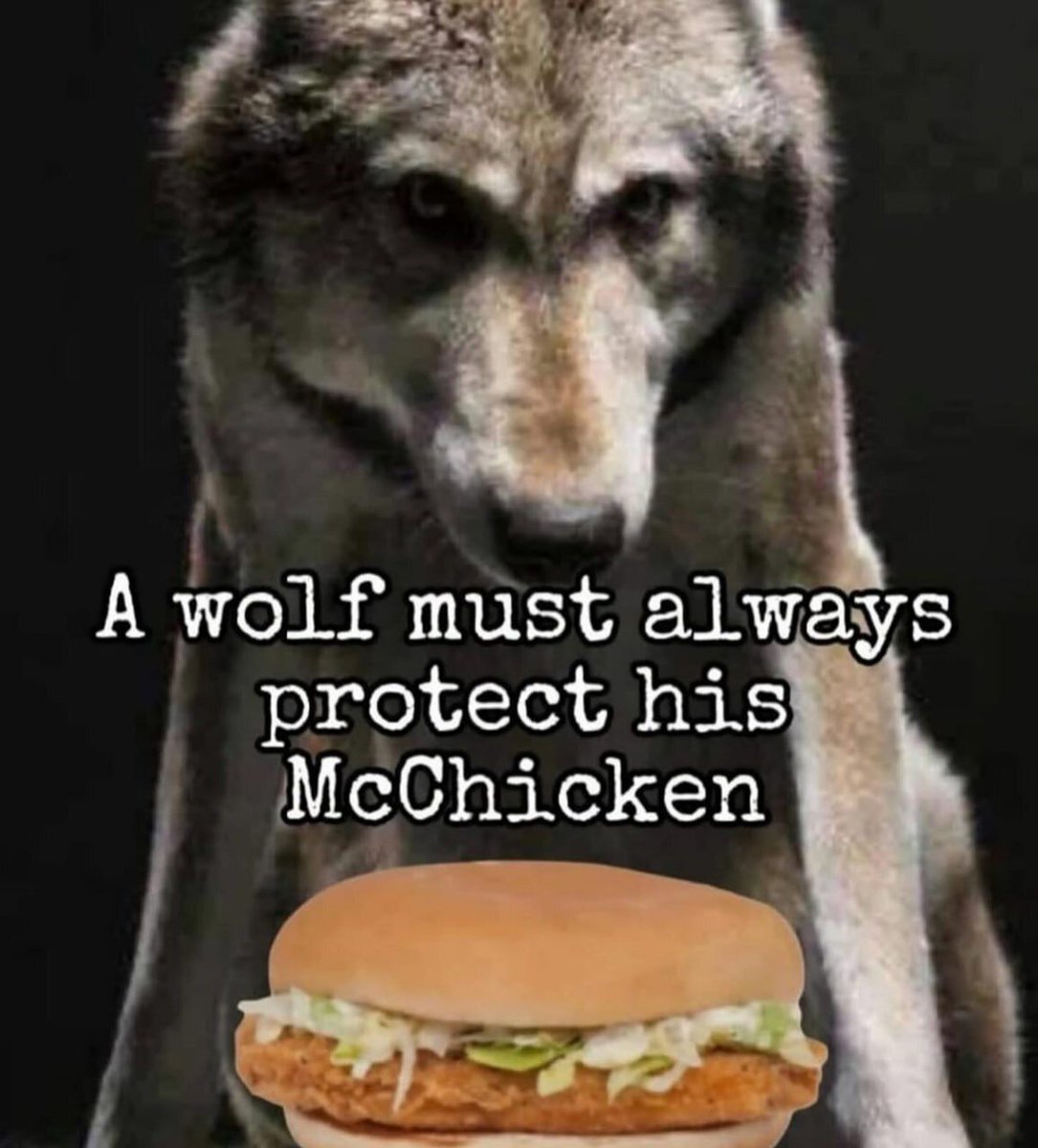 wolpmaxxing's tweet image. 