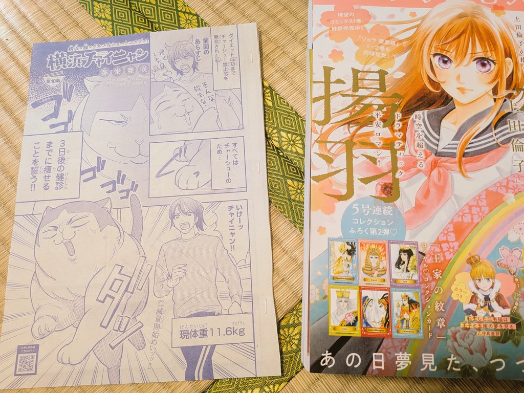 月刊プリンセス編集部 (@gekkan_Princess) / Posts / X