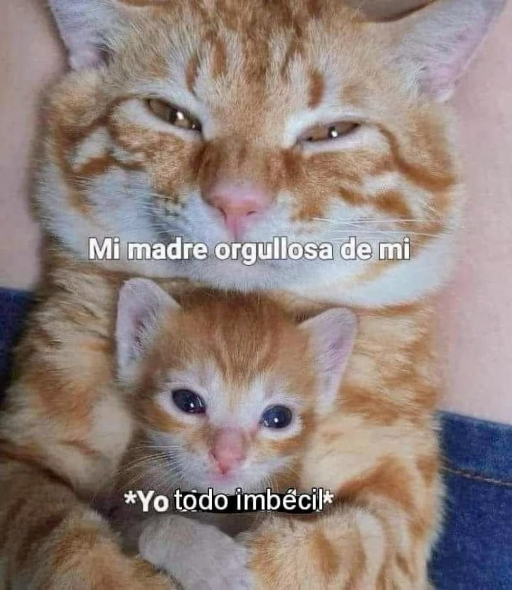 fachocat's tweet image. aSdsjajajaja... Te quiero mucho amá