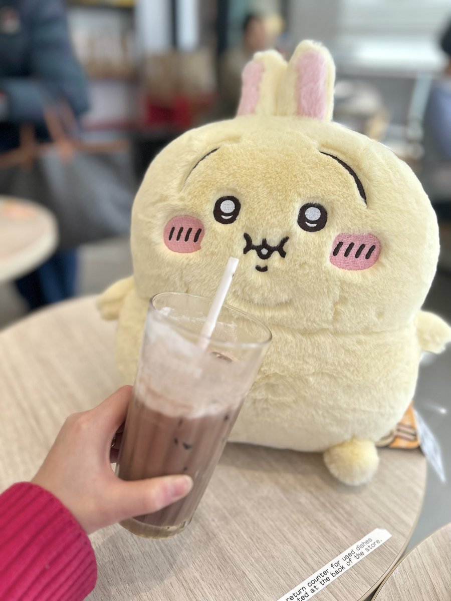 とびきりのデブ無事お迎え
流石に3匹お迎えしてしまったから荷物多すぎてキツイ、、笑