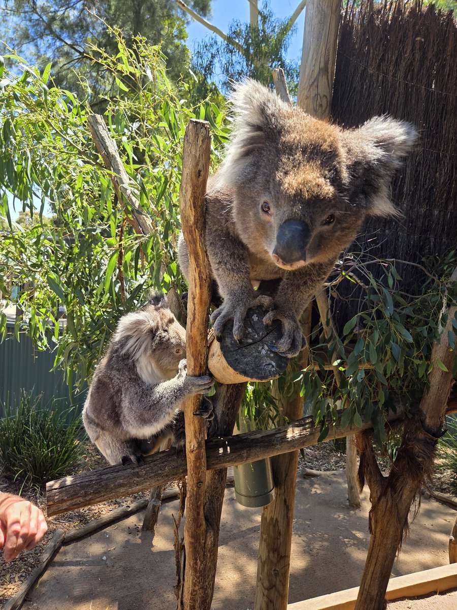 竹田 誠志 tweet media