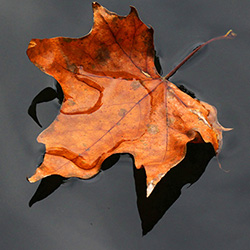 Neyi Kaybettiğini Hatırla!
Ahlâk yoksa, namaz yoksa, haram-helal hassasiyeti yoksa, kul ve kamu hakkı bilinci yoksa, ana-babaya hürmet, eşe nezaket yoksa, dili gıybet ve iftiradan, gözü haramdan, kalbi hasetten, mideyi haksız kazançtan, cebi faizden korumak yoksa, hangi partiden,