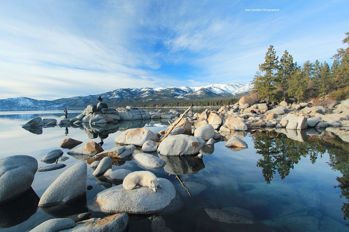 Enter The Lake Tahoe Gallery
sean-sarsfield.pixels.com
Metal Prints  Canvas Wraps  Puzzles   
Sweatshirts  Tote Bags  Towels   
Phone Cases  Yoga Mats  TShirts      
#Nature #Wolves #Dogs #Sierra #Hiking #Photography #Soul #Travel #Painting #Portraits #Craft #Art #WaterProtector
