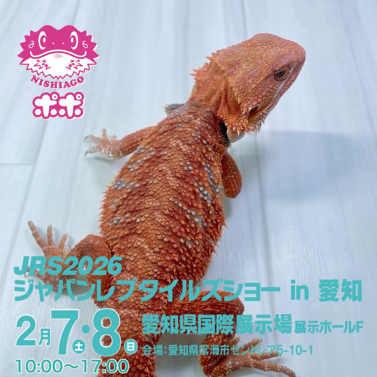 ポポのケージ (@poponocage) / Posts / X