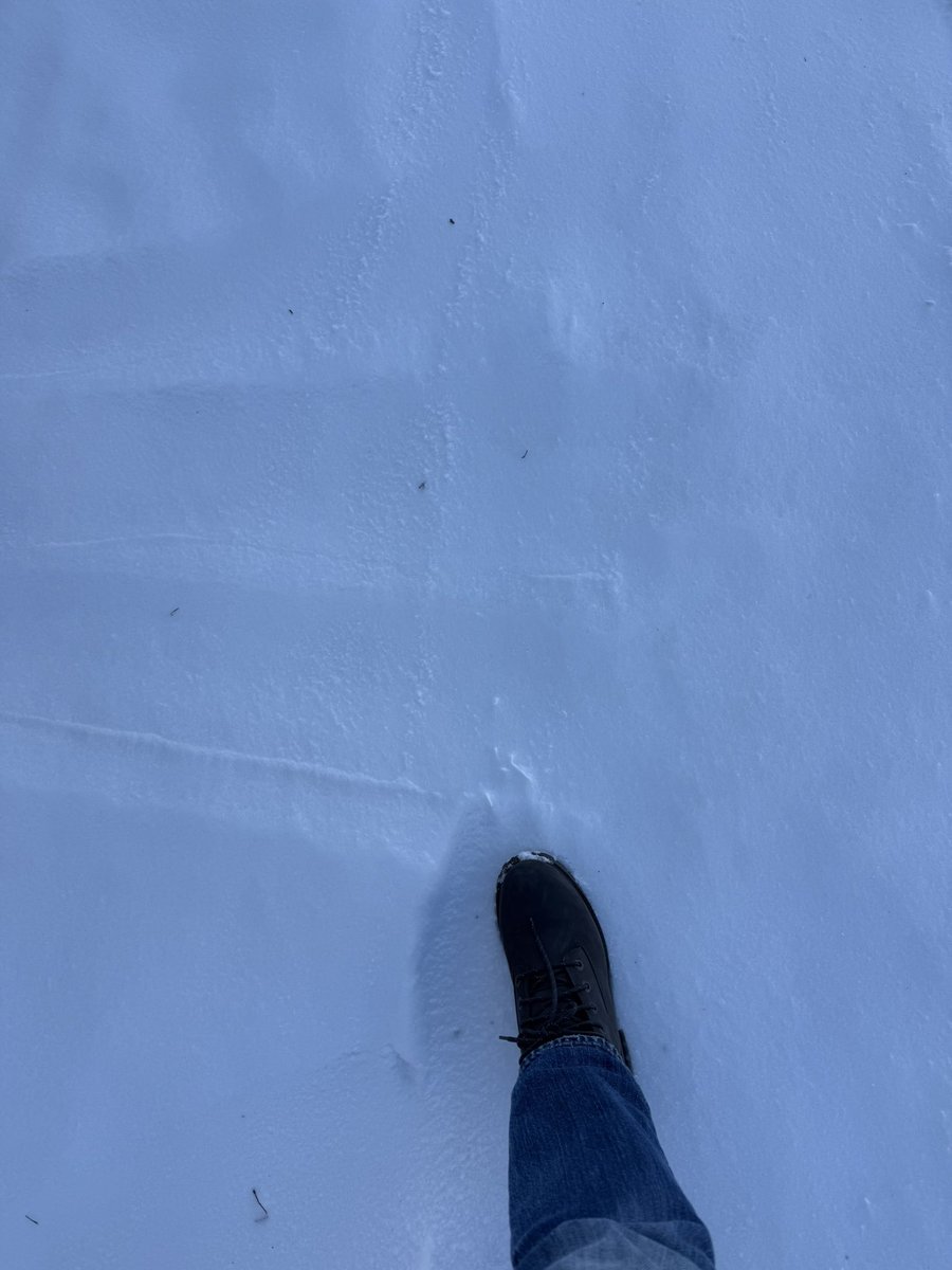 しまった雪の上を歩く時の、ギュッギュッって音と感触が好き