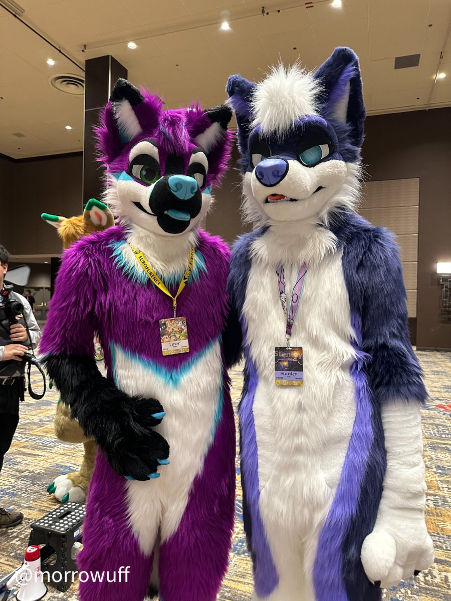 Purple Dog ✈️TFF tweet media