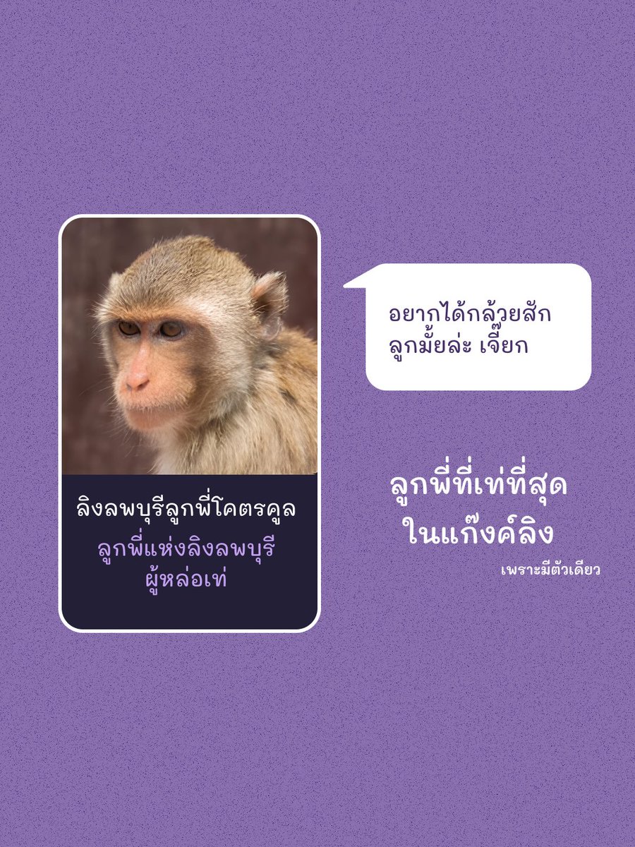 SaytuAI's tweet photo. ใน https://t.co/WpO4ZXMtv1 มีลูกพี่ที่เท่ที่สุดในเว็บรอที่จะได้เจอกับทุกคนอยู่น้า เข้าไปคุยกับลูกพี่ได้เลย!🐒

#Yume_AI #AIroleplay #AIchatbot #AIchat #AIgirlfriends #AIboyfriends https://t.co/MBWECg7CzH