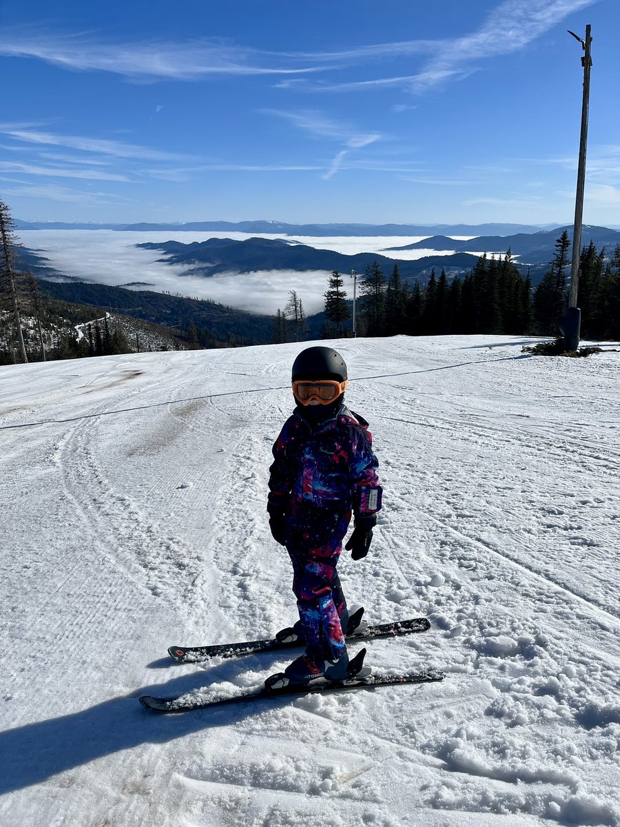 Don Pawluk tweet media