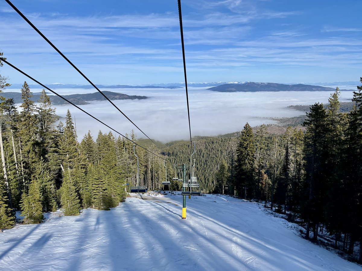 Don Pawluk tweet media