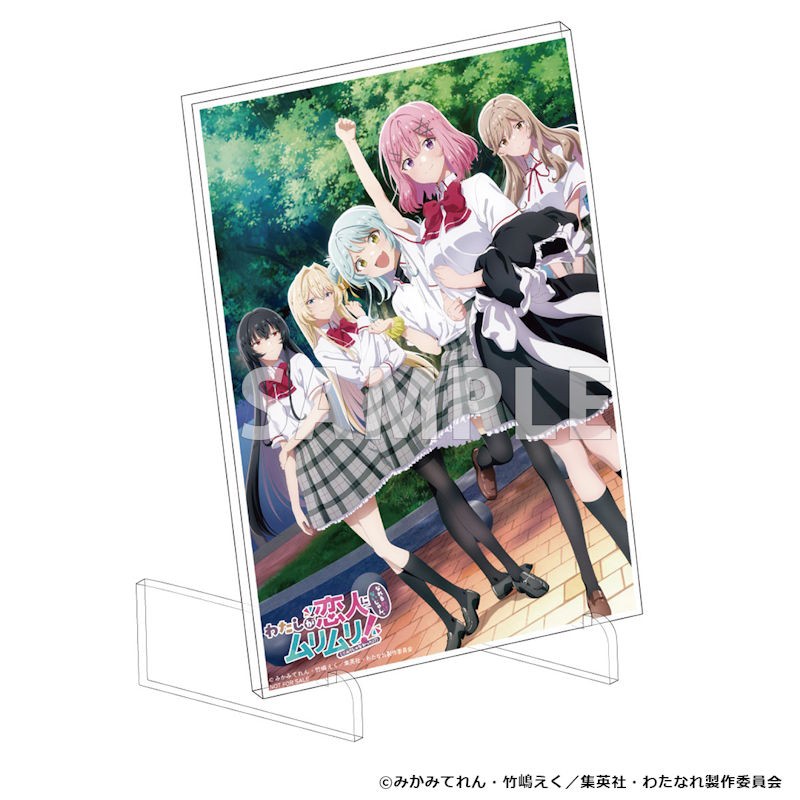 予約情報】 TVアニメ『わたしが恋人になれるわけないじゃん、ムリムリ