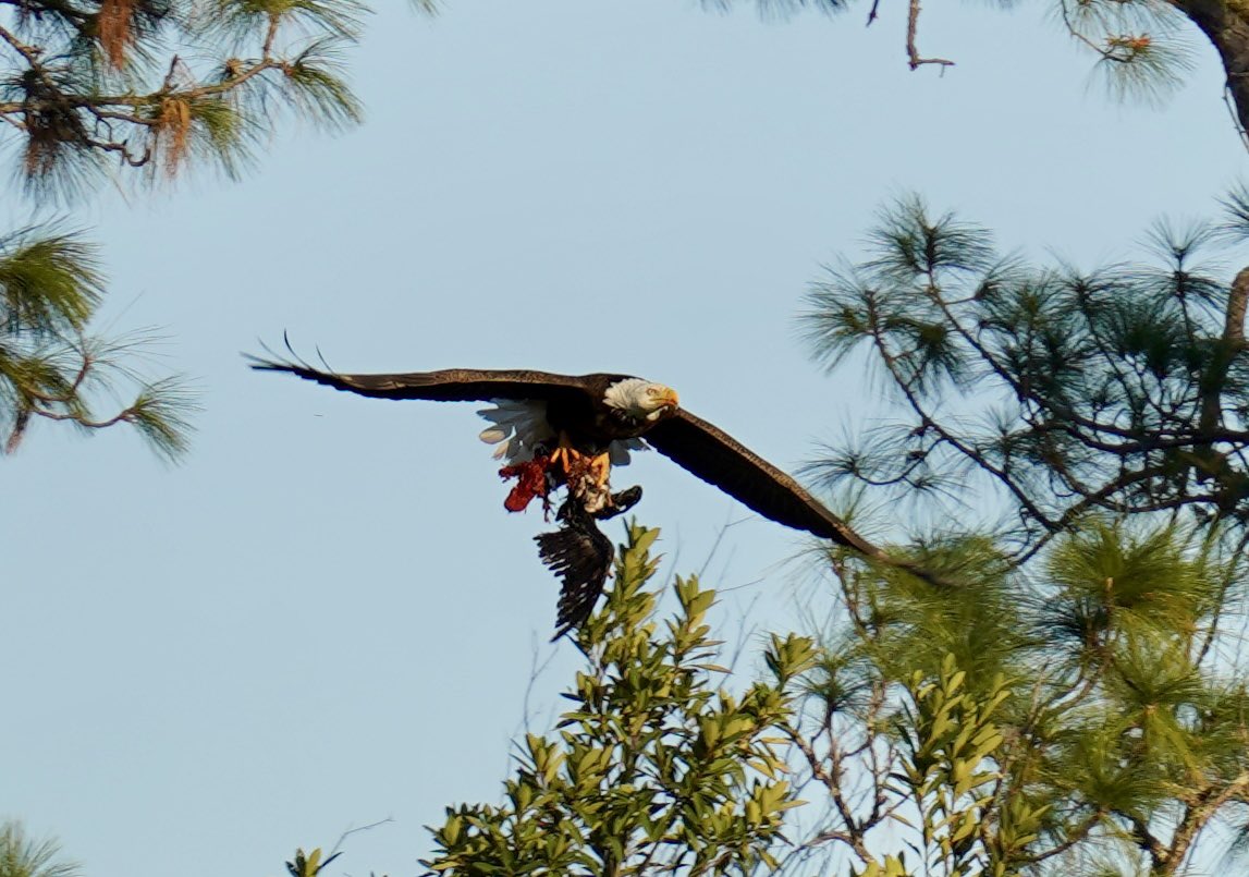 Isaac Peugh 🎥 tweet media