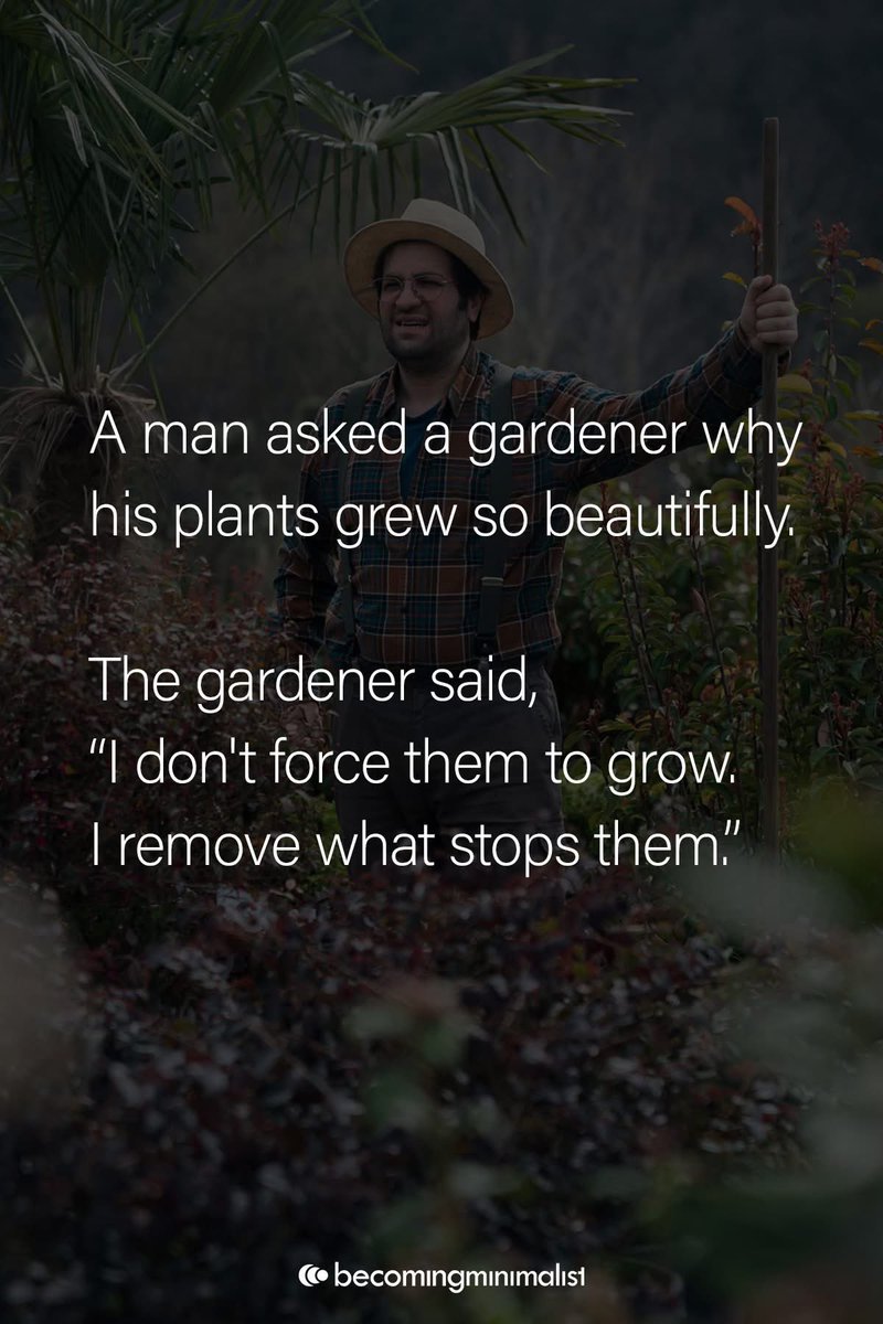 Sopheap Ly (@sopheaply454221) on Twitter photo 