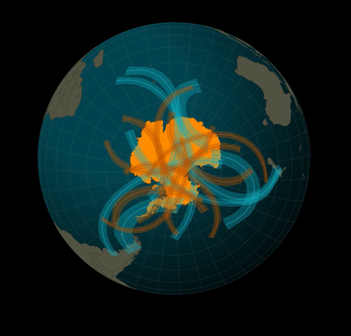 Colibra Labs 🚀 tweet media