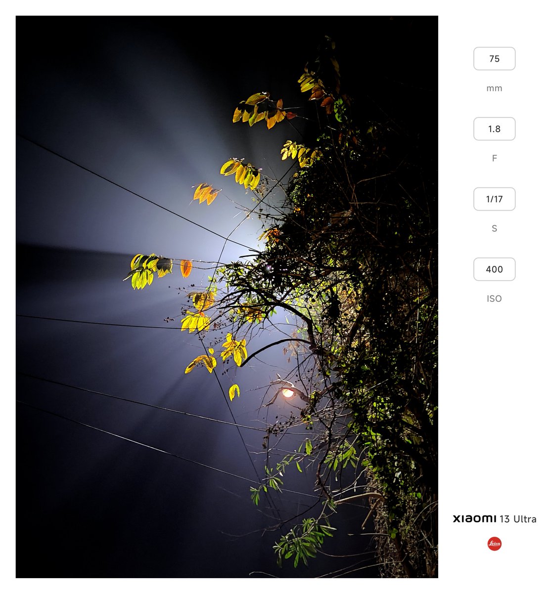 Shot on Xiaomi 13 Ultra