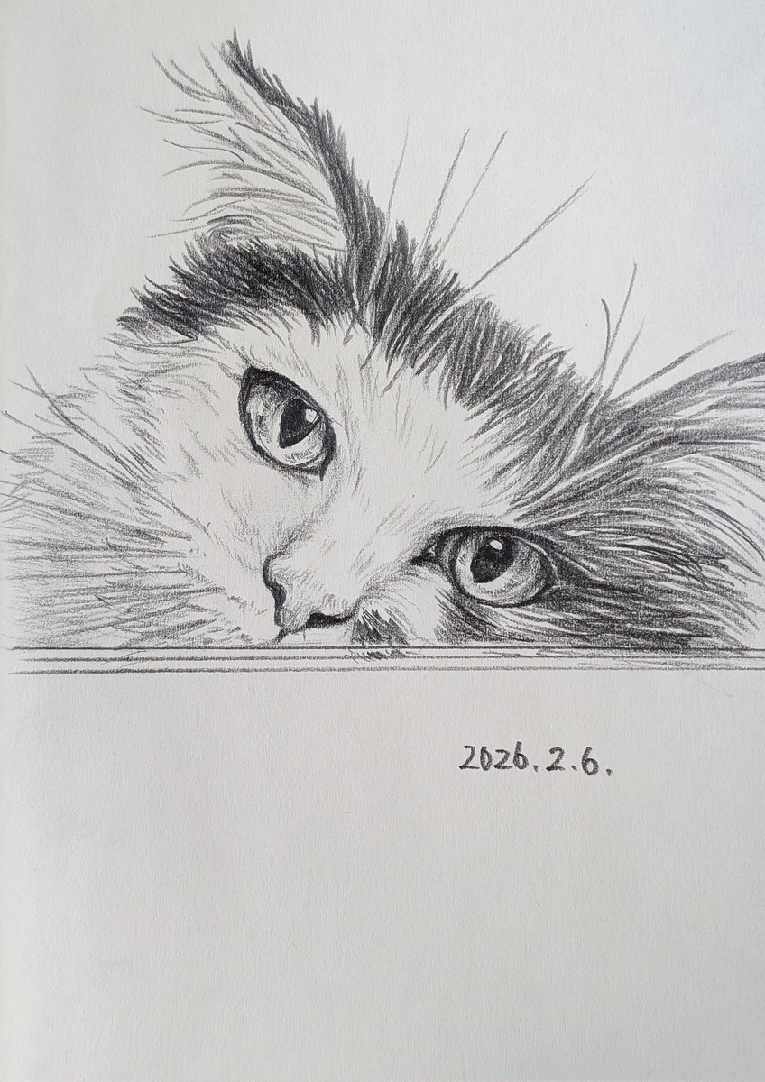 なにしているの？ | まるり 物陰から視線を感じる。 ふと見ると、猫が