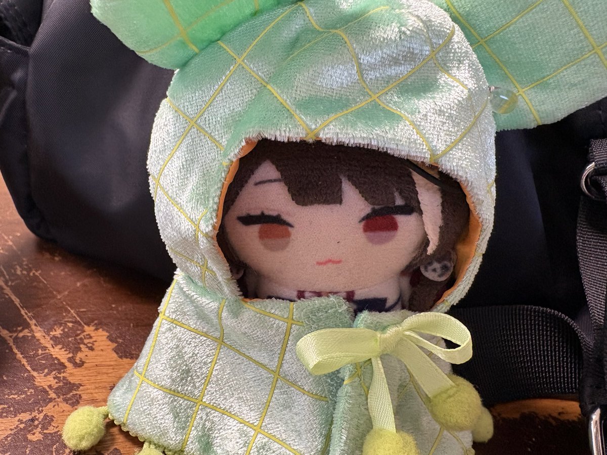 chamucha406's tweet image. とこちゃんにディズニーストアで売ってたランダムポンチョ着せたらめっちゃかわいい🫶
 #いぬいどんどんすきになる