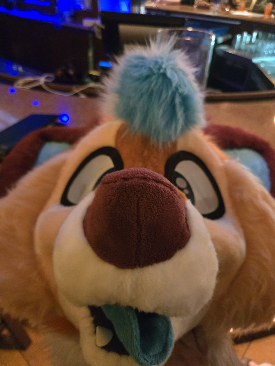 GalaxisFoxxo's tweet photo. Theres a new fox in town,,,
🪡 @CassMutt https://t.co/rJea024Td0